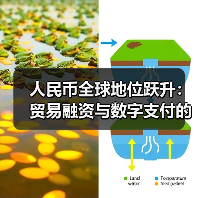 人民币全球地位跃升:贸易融资与数字支付的双重突破(图4) 人民币全球地位跃升:贸易融资与数字支付的双重突破(图4)