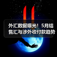 外汇数据曝光!5月结售汇与涉外收付款趋势解析(图3) 外汇数据曝光!5月结售汇与涉外收付款趋势解析(图3)