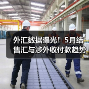 外汇数据曝光!5月结售汇与涉外收付款趋势解析(图4) 外汇数据曝光!5月结售汇与涉外收付款趋势解析(图4)