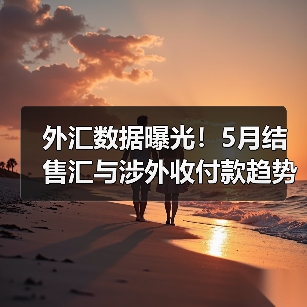 外汇数据曝光!5月结售汇与涉外收付款趋势解析(图2) 外汇数据曝光!5月结售汇与涉外收付款趋势解析(图2)