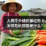 人民币外储份额逆势上涨背后的原因是什么?(图2) 人民币外储份额逆势上涨背后的原因是什么?(图2)