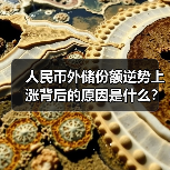 人民币外储份额逆势上涨背后的原因是什么?(图1) 人民币外储份额逆势上涨背后的原因是什么?(图1)