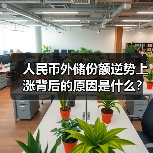 人民币外储份额逆势上涨背后的原因是什么?(图4) 人民币外储份额逆势上涨背后的原因是什么?(图4)