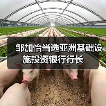 邹加怡当选亚洲基础设施投资银行行长(图4) 邹加怡当选亚洲基础设施投资银行行长(图4)