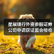 星展银行外资参股证券公司申请获证监会接收(图3) 星展银行外资参股证券公司申请获证监会接收(图3)