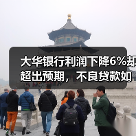 大华银行利润下降6%却超出预期,不良贷款如何影响业绩?(图2) 大华银行利润下降6%却超出预期,不良贷款如何影响业绩?(图2)