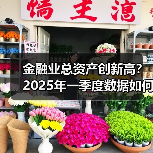 金融业总资产创新高?2025年一季度数据如何解读(图3) 金融业总资产创新高?2025年一季度数据如何解读(图3)