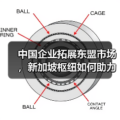 中国企业拓展东盟市场,新加坡枢纽如何助力?(图2) 中国企业拓展东盟市场,新加坡枢纽如何助力?(图2)