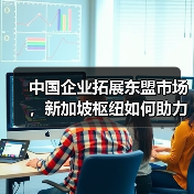 中国企业拓展东盟市场,新加坡枢纽如何助力?(图4) 中国企业拓展东盟市场,新加坡枢纽如何助力?(图4)