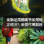 金融逆周期调节如何稳定经济?关键作用解析(图3) 金融逆周期调节如何稳定经济?关键作用解析(图3)