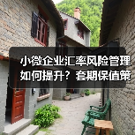 小微企业汇率风险管理如何提升?套期保值策略与风险中性理念(图2) 小微企业汇率风险管理如何提升?套期保值策略与风险中性理念(图2)