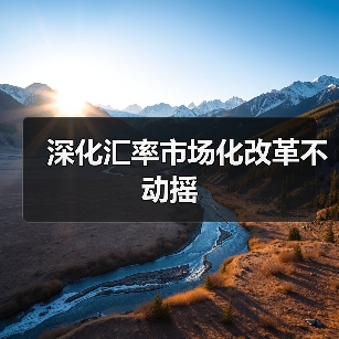 深化汇率市场化改革不动摇(图4) 深化汇率市场化改革不动摇(图4)
