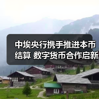 中埃央行携手推进本币结算 数字货币合作启新篇(图3) 中埃央行携手推进本币结算 数字货币合作启新篇(图3)