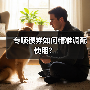 专项债券如何精准调配使用?(图2) 专项债券如何精准调配使用?(图2)