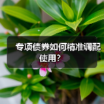 专项债券如何精准调配使用?(图1) 专项债券如何精准调配使用?(图1)