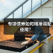 专项债券如何精准调配使用?(图4) 专项债券如何精准调配使用?(图4)