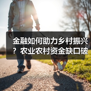 金融如何助力乡村振兴？农业农村资金缺口破解之道（图4）