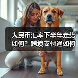 人民币汇率下半年走势如何?跨境支付通如何助力金融融合?(图4) 人民币汇率下半年走势如何?跨境支付通如何助力金融融合?(图4)