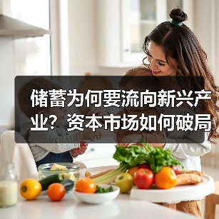 储蓄为何要流向新兴产业?资本市场如何破局?(图4) 储蓄为何要流向新兴产业?资本市场如何破局?(图4)