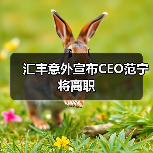 汇丰意外宣布CEO范宁将离职(图3) 汇丰意外宣布CEO范宁将离职(图3)