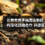 长春市携手韩国金融机构深化战略合作 共促区域经济发展（图3）