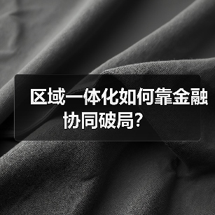 区域一体化如何靠金融协同破局？