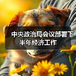 中央政治局会议部署下半年经济工作（图1）
