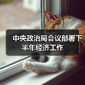 中央政治局会议部署下半年经济工作（图4）