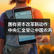 国有资本改革新动作：中央汇金受让中国农再90亿股，释放什么信号？
