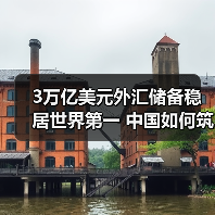 3万亿美元外汇储备稳居世界第一 中国如何筑牢经济安全防线？（图1）