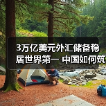 3万亿美元外汇储备稳居世界第一 中国如何筑牢经济安全防线？（图4）