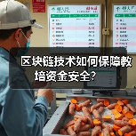 区块链技术如何保障教培资金安全？