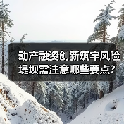 动产融资创新筑牢风险堤坝需注意哪些要点?(图4) 动产融资创新筑牢风险堤坝需注意哪些要点?(图4)