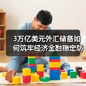 3万亿美元外汇储备如何筑牢经济金融稳定防线?(图2) 3万亿美元外汇储备如何筑牢经济金融稳定防线?(图2)