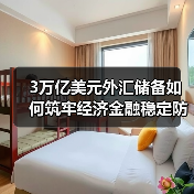 3万亿美元外汇储备如何筑牢经济金融稳定防线?(图4) 3万亿美元外汇储备如何筑牢经济金融稳定防线?(图4)