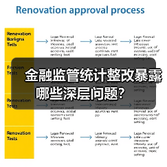 金融监管统计整改暴露哪些深层问题？（图4）