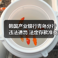 韩国产业银行青岛分行违法遭罚 法定存款准备金欠缴(图3) 韩国产业银行青岛分行违法遭罚 法定存款准备金欠缴(图3)