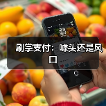 刷掌支付：噱头还是风口（图2）