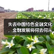失去中国特色金融文化，金融发展将何去何从？（图4）