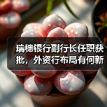 瑞穗银行副行长任职获批,外资行布局有何新动向?(图2) 瑞穗银行副行长任职获批,外资行布局有何新动向?(图2)