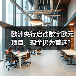 欧洲央行启动数字欧元项目,现金仍为首选?(图4) 欧洲央行启动数字欧元项目,现金仍为首选?(图4)