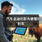 汽车金融创新先要管好“刹车”