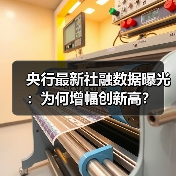 央行最新社融数据曝光:为何增幅创新高?(图4) 央行最新社融数据曝光:为何增幅创新高?(图4)