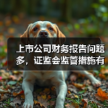 上市公司财务报告问题多,证监会监管措施有哪些?(图1) 上市公司财务报告问题多,证监会监管措施有哪些?(图1)