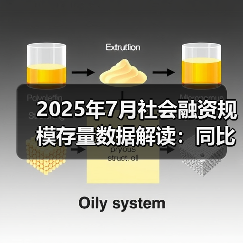 2025年7月社会融资规模存量数据解读：同比增速分化显著
