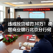 违规放贷被罚30万！德国商业银行北京分行何以落马？（图4）