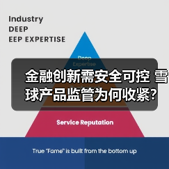 金融创新需安全可控 雪球产品监管为何收紧？（图4）