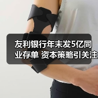 友利银行年末发5亿同业存单 资本策略引关注(图2) 友利银行年末发5亿同业存单 资本策略引关注(图2)