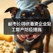 副市长调研港资企业复工复产防疫措施(图3) 副市长调研港资企业复工复产防疫措施(图3)