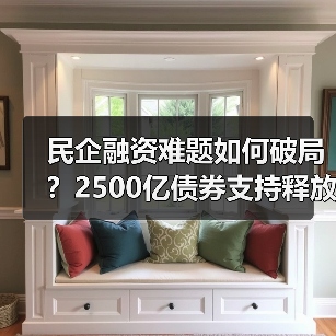 民企融资难题如何破局?2500亿债券支持释放哪些信号(图2) 民企融资难题如何破局?2500亿债券支持释放哪些信号(图2)